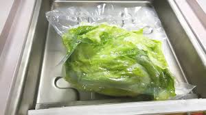 lechuga