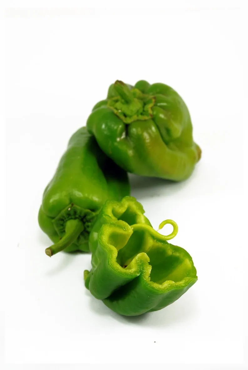 Morron verde